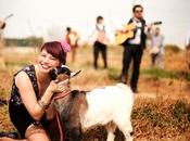 BlogDJ... "Crash" Limbotheque