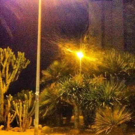 Insta Sdiosas 20 Insta Sdiosas 20