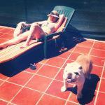 al sol y bulldog