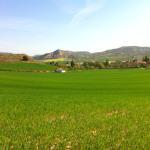 campos verdes iriepal