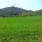 campos verdes iriepal