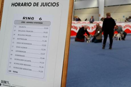 ring competencia