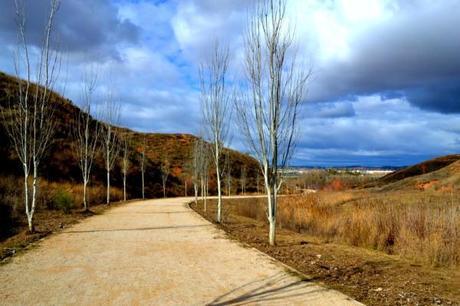 Camino y paisaje de Guadalajara