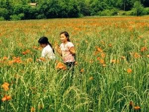 El medio ambiente: tres décadas de cambios que reclaman nuestra acción