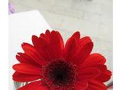 Donación transplante órganos