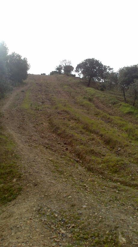 Parque Forestal Los Villares