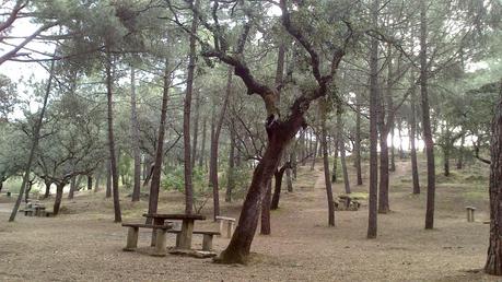 Parque Forestal Los Villares