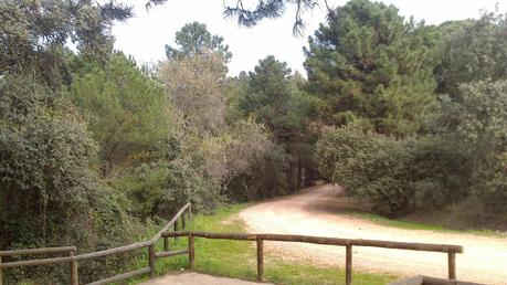 Parque Forestal Los Villares