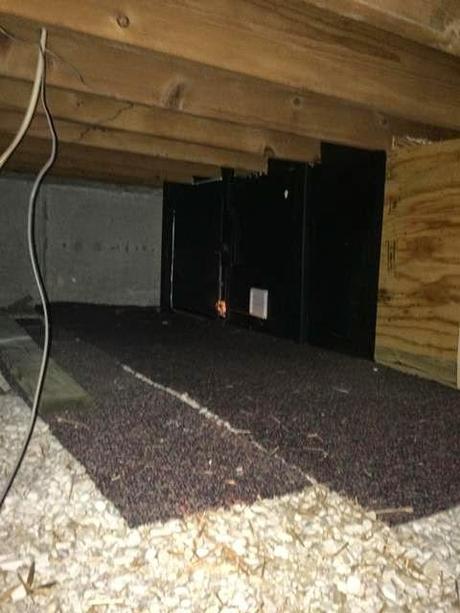 Un misterioso tesoro encontrado en una casa