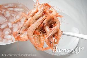 Como cocer gambas blancas congeladas Introducir la gamba cocida en agua con hielo