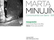 Vuelven nidos hornero Minujín