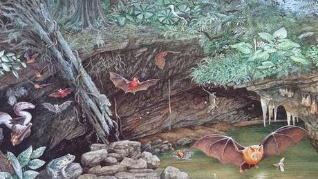 Descubren un esperma gigante de 17 millones de años de antigüedad