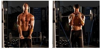 Curl de biceps con barra Z o con barra plana Curl de biceps con barra Z o con barra plana