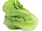 Lechuga divertida??!!