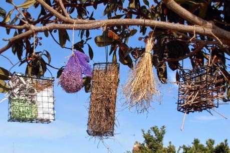 Ayudando a las aves: aporte de material para nidos