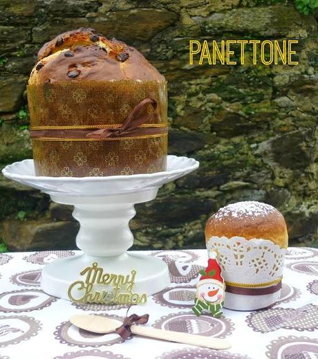 Panettone