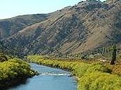 Recorriendo Valle Negro: Altos