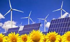 WWF Chile valora anuncio de un análisis global de cuencas en el país en el marco de la Agenda de Energía del Gobierno