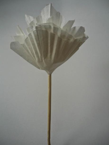 Flores con molde de magdalena