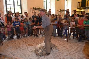 Esquileo Cabanillas Mayo 2014 046