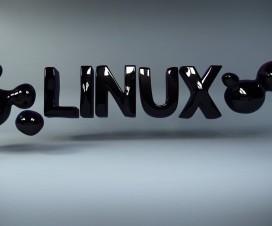 No todo va a ser aprender, tambien hay que divertirse Fondos-0107