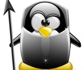 No todo va a ser aprender, tambien hay que divertirse linux-virus