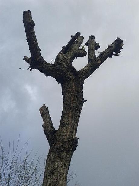 Androidografia Barakaldo 878