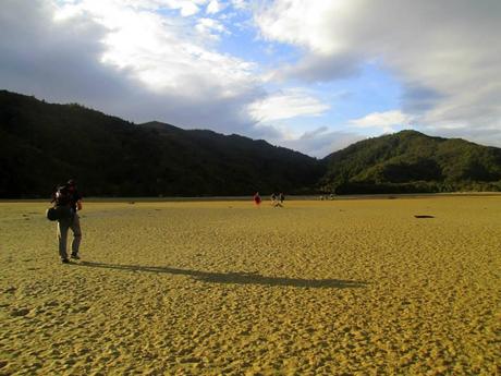 Abel Tasman