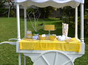 "candy cart" buffet ideas: boda