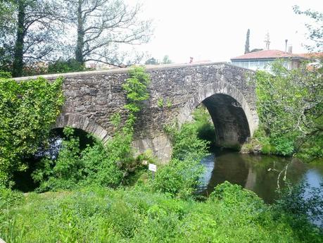 Mi Camino hacia Santiago    /      My Road to Santiago