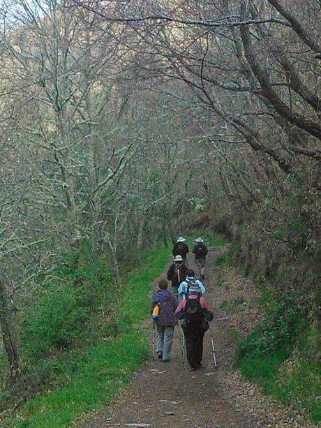 Mi Camino hacia Santiago    /      My Road to Santiago