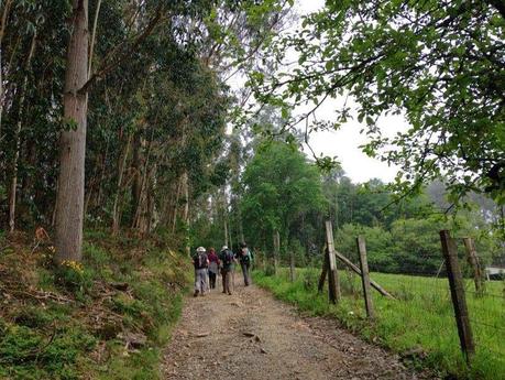 Mi Camino hacia Santiago    /      My Road to Santiago