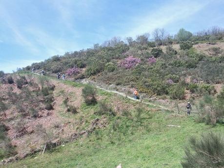 Mi Camino hacia Santiago    /      My Road to Santiago