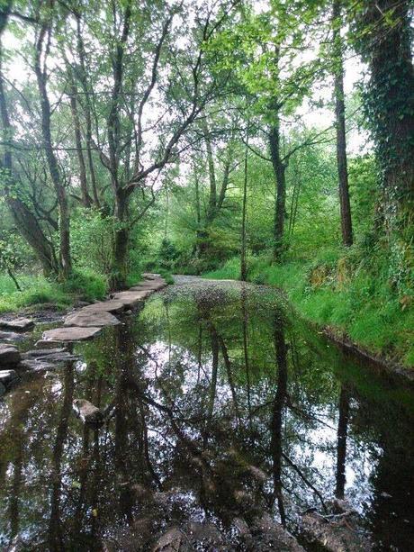 Mi Camino hacia Santiago    /      My Road to Santiago