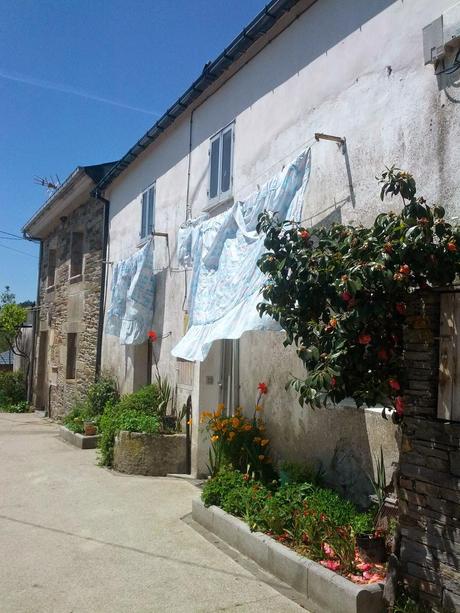 Mi Camino hacia Santiago    /      My Road to Santiago