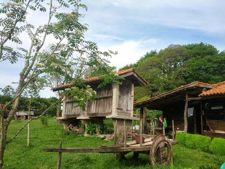 Mi Camino hacia Santiago    /      My Road to Santiago