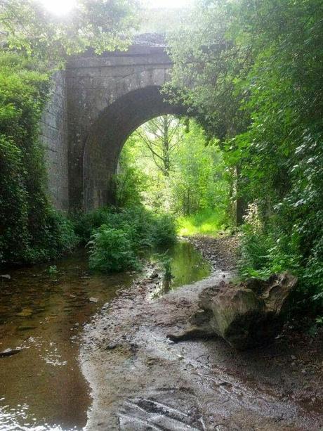 Mi Camino hacia Santiago    /      My Road to Santiago