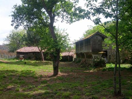 Mi Camino hacia Santiago    /      My Road to Santiago