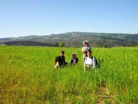 Mi Camino hacia Santiago    /      My Road to Santiago