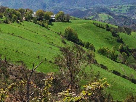 Mi Camino hacia Santiago    /      My Road to Santiago