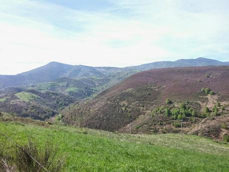 Mi Camino hacia Santiago    /      My Road to Santiago