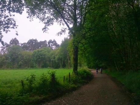 Mi Camino hacia Santiago    /      My Road to Santiago