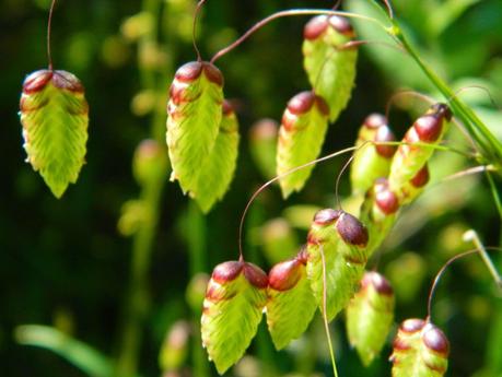 Un capítulo más de la primavera y unos días menos para el verano.