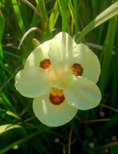 Un capítulo más de la primavera y unos días menos para el verano.