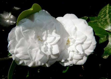 Un capítulo más de la primavera y unos días menos para el verano.