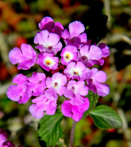 Un capítulo más de la primavera y unos días menos para el verano.