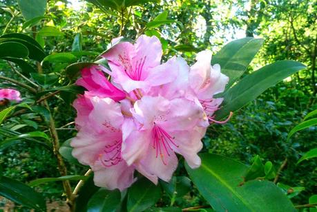 Un capítulo más de la primavera y unos días menos para el verano.