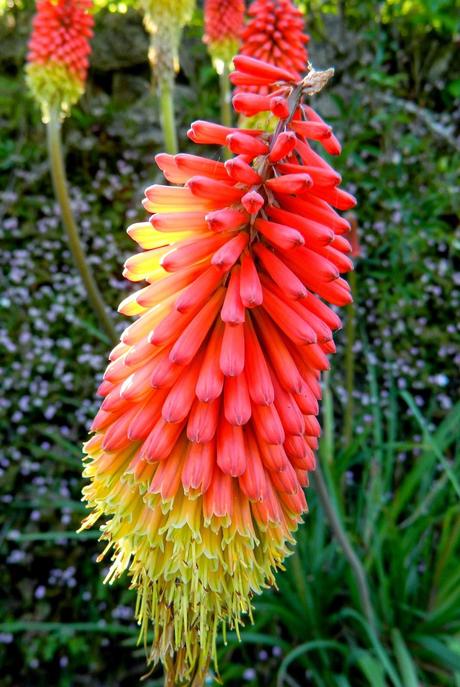 Un capítulo más de la primavera y unos días menos para el verano.