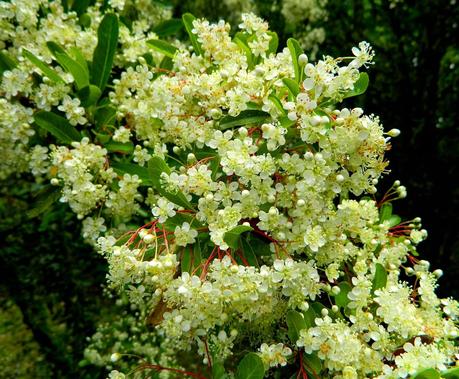 Un capítulo más de la primavera y unos días menos para el verano.