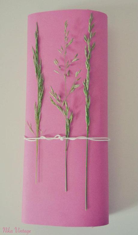 Diy ... packing + evolucion de falsa Kokedama y semillas